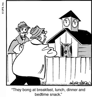 marmaduke